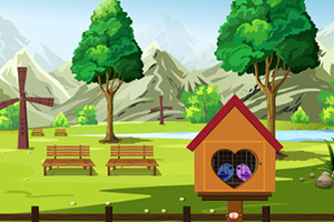 救援受困的爱情鸟