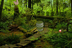 逃离友好的森林