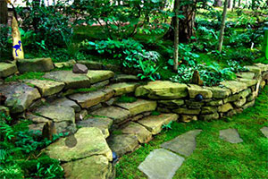 绿色公园救老人