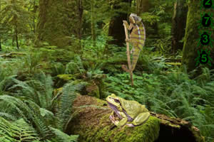 逃出爬行动物森林