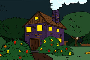 冒险大师的故事