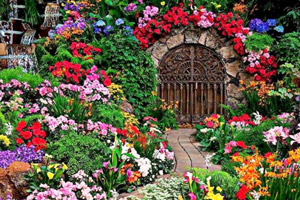 搜索复活节兔子