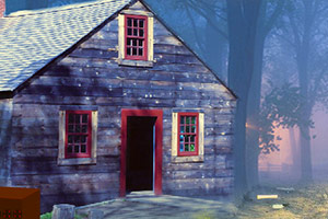 救援受困的巨嘴鸟