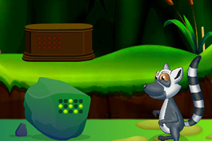 救援受困的小浣熊