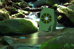 逃离隐秘的森林