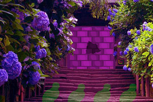 救援受困的天鹅