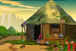 解救红金刚鹦鹉