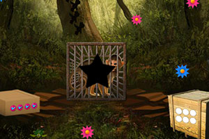 救援受困的小猴