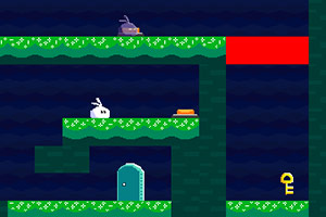 小白兔的影分身