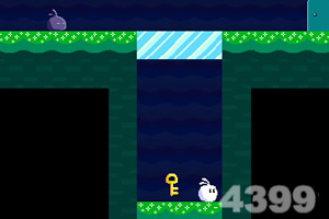 小白兔的影分身