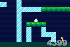 小白兔的影分身