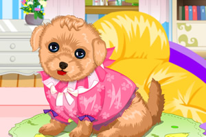 朵拉救助流浪狗