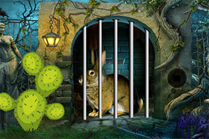 可爱的兔子救援