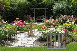 救援受困的鸭子