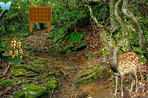 逃出原始的森林