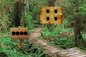 救援受困小麻雀