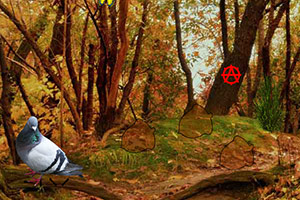 逃离暗淡枫叶林