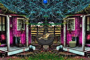 救援受困的小夜莺