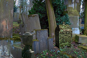 逃离废弃的墓园