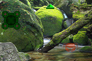 救援受困长颈鹿