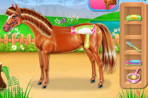 小马护理和骑马