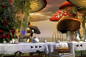 逃离神奇的土地