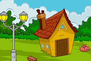 救援受困的大猩猩