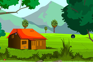 救援受困的小猴子