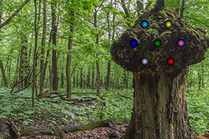 逃离荒郊野岭之地