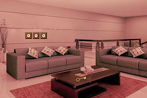 逃离漂亮的新家