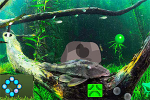 拯救溺水的男人