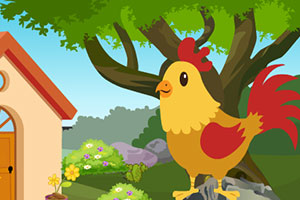 救援可爱的公鸡