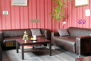 逃出橡树的房子