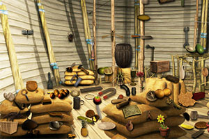 诺亚方舟的真相