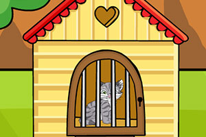 救援条纹小灰猫