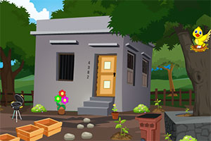 可爱的啄木鸟救援