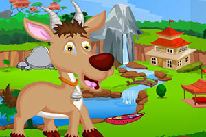 救援可爱的羚羊