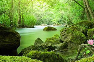 逃离荒郊野岭之地2