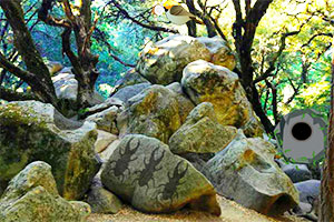 冒险的山地救援