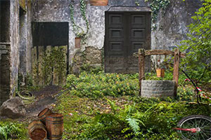 逃出被遗弃的地方