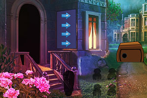 救援可爱小斑马