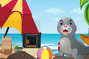 救援可爱的小海豹