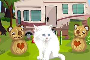 救援可爱的小白猫