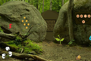 野生非洲森林逃脱