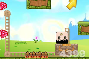 爱钻石的盒子先生