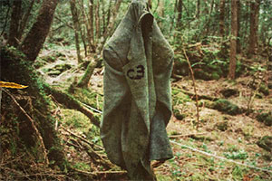 逃离亚马逊闹鬼森林