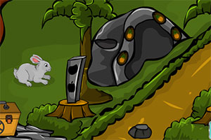 救援受困的松鼠