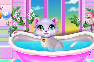 疯狂的妈妈领养宠物