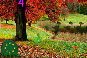 逃离土耳其枫林