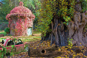 你能逃离水库公园吗